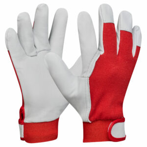 G-Base Eco Fit