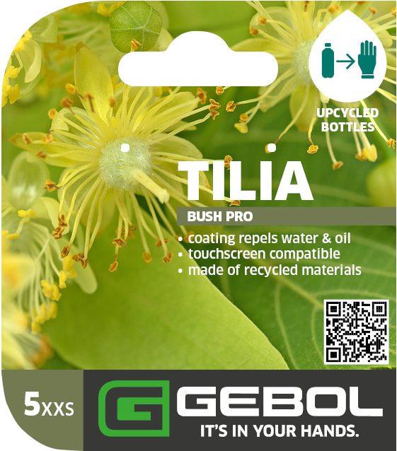 Mockup Headerkarten_0008_Tilia_05_EN