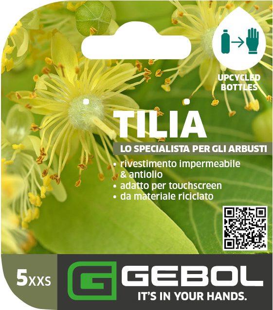 Mockup Headerkarten_0013_Tilia_05_IT