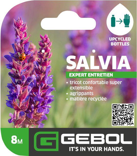 Mockup Headerkarten_0015_Salvia_08_FR