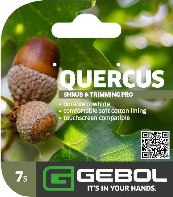 Mockup Headerkarten_0021_Quercus_07_EN