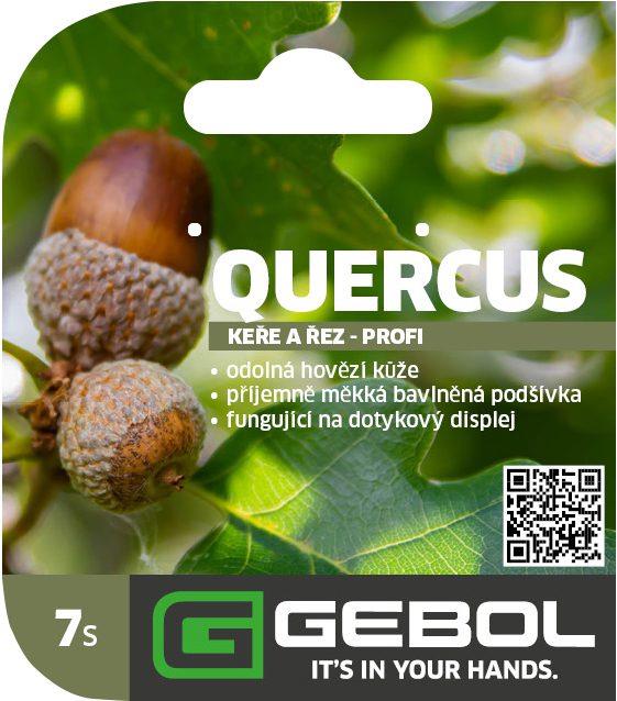 Mockup Headerkarten_0022_Quercus_07_CZ