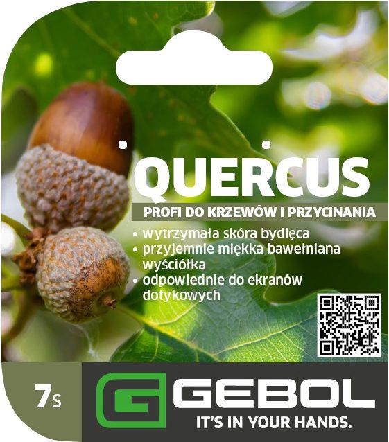 Mockup Headerkarten_0025_Quercus_07_PL