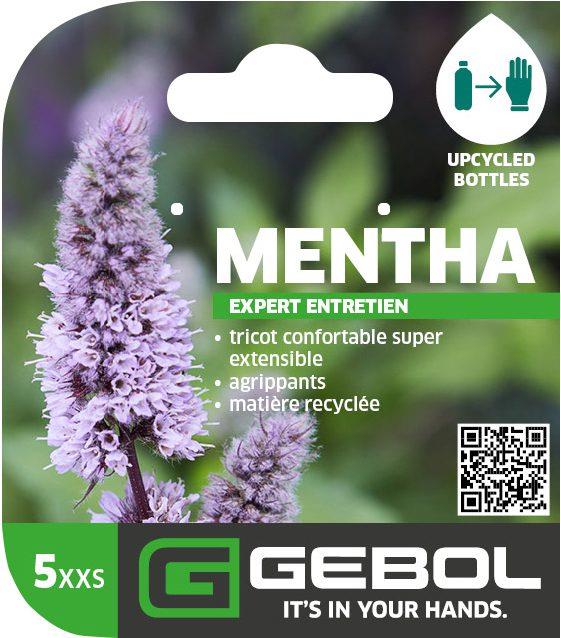 Mockup Headerkarten_0034_Mentha_05_FR