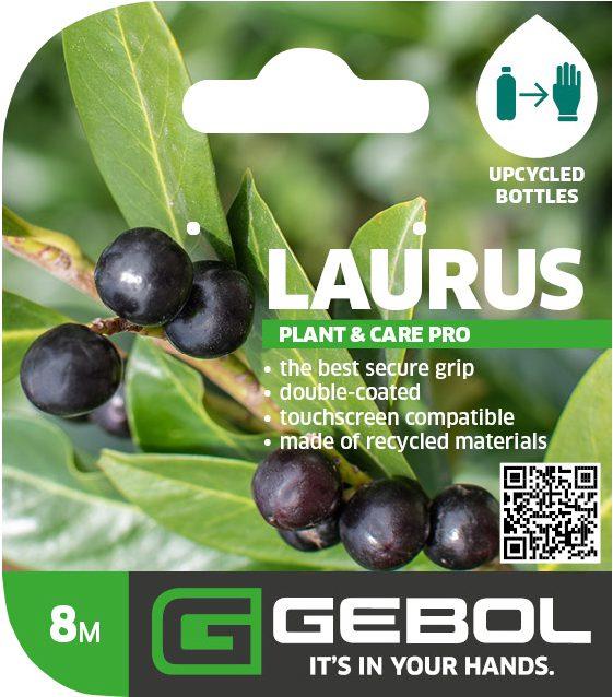 Mockup Headerkarten_0042_Laurus_08_EN