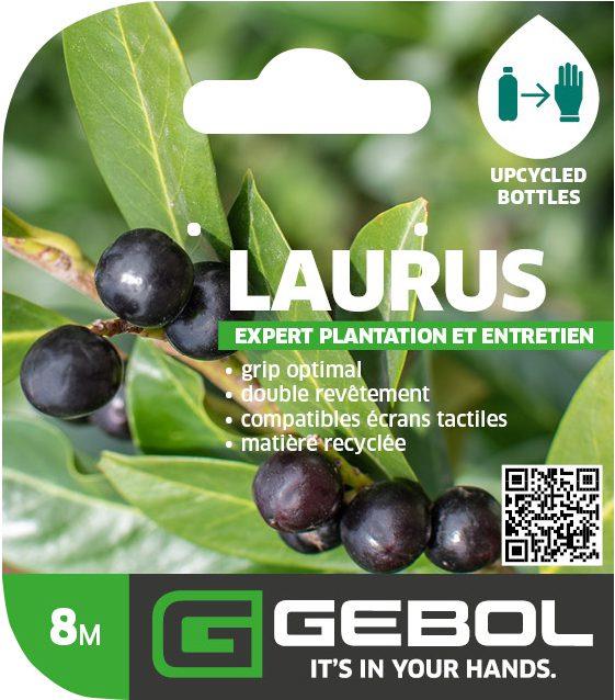 Mockup Headerkarten_0048_Laurus_08_FR
