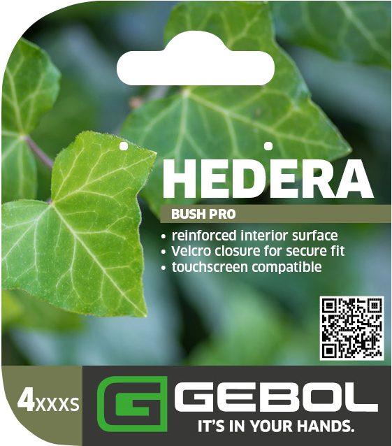 Mockup Headerkarten_0058_Hedera_04_EN