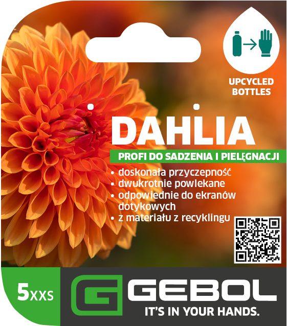 Mockup Headerkarten_0070_Dahlia_05_PL