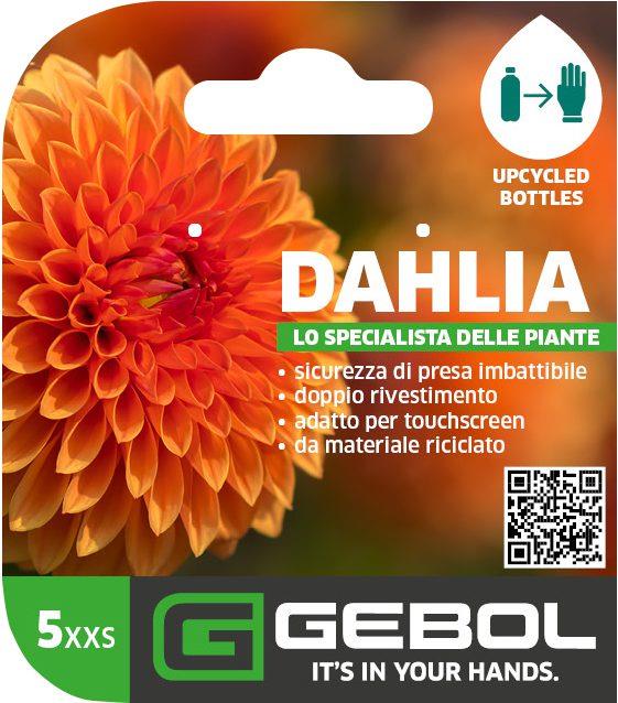 Mockup Headerkarten_0071_Dahlia_05_IT
