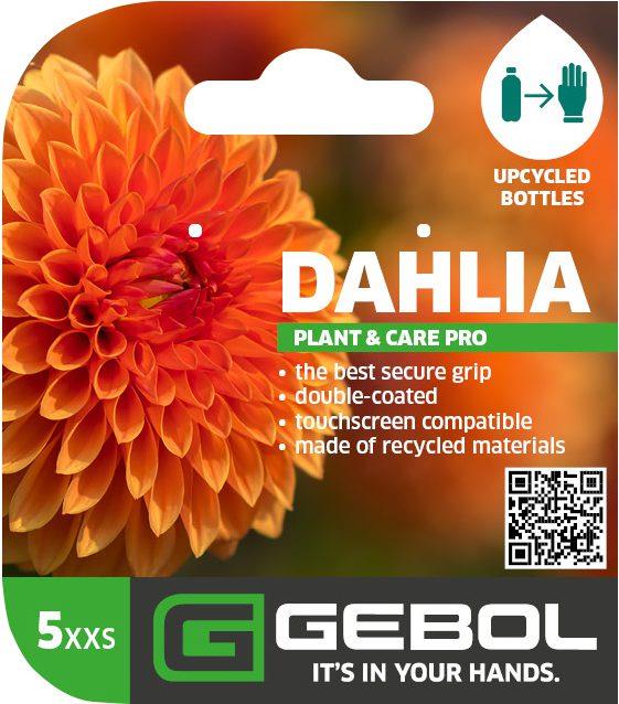 Mockup Headerkarten_0073_Dahlia_05_EN