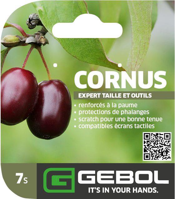 Mockup Headerkarten_0077_Cornus_07_FR