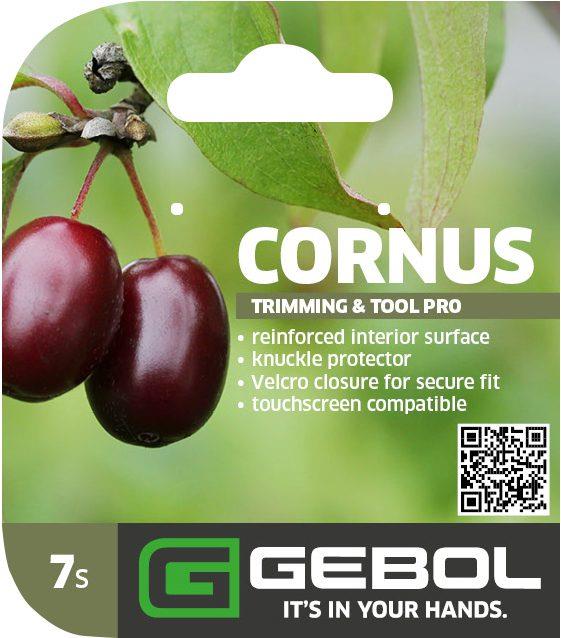 Mockup Headerkarten_0078_Cornus_07_EN