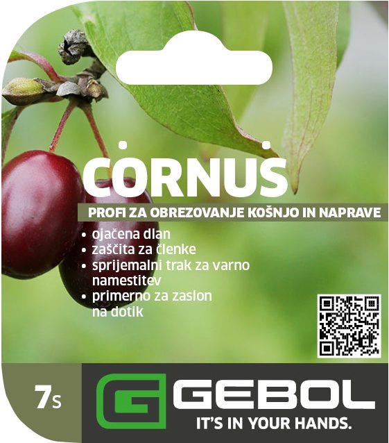 Mockup Headerkarten_0080_Cornus_07_SLO