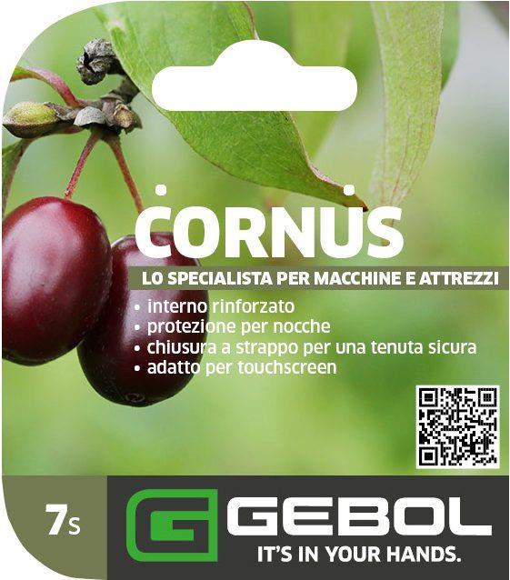 Mockup Headerkarten_0083_Cornus_07_IT