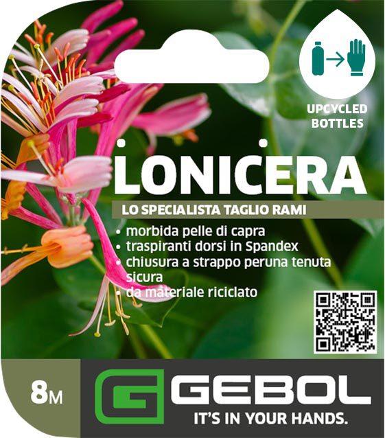 Mockup Headerkarten_0000_Lonicera_IT