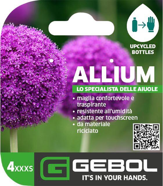 Mockup Headerkarten_0003_Allium_04_IT