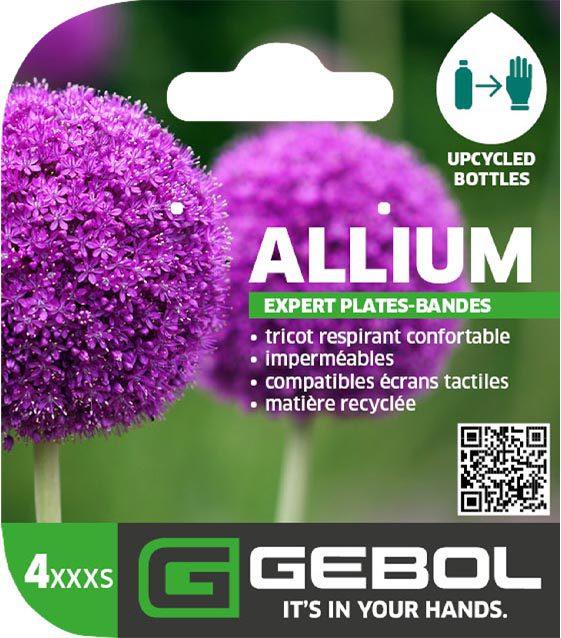 Mockup Headerkarten_0004_Allium_04_FR