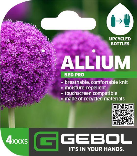 Mockup Headerkarten_0005_Allium_04_EN
