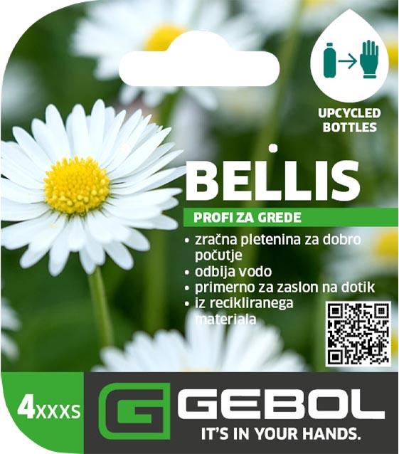 Mockup Headerkarten_0007_Bellis_04_SLO