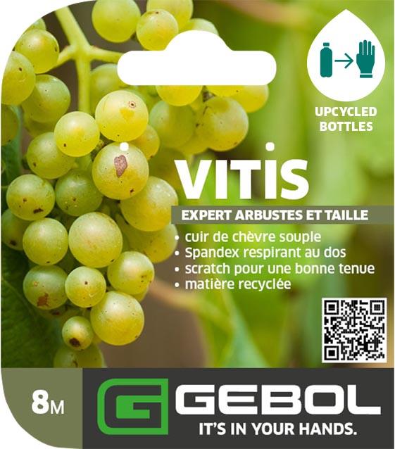 Mockup Headerkarten_0007_Vitis_FR