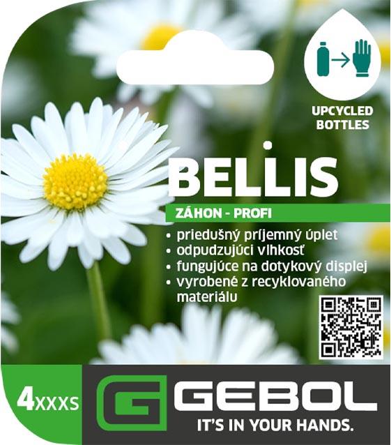 Mockup Headerkarten_0008_Bellis_04_SK
