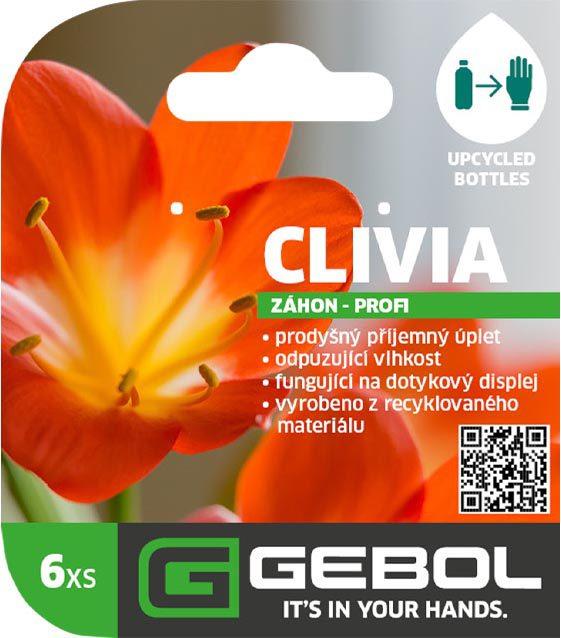 Mockup Headerkarten_0008_Clivia_CZ