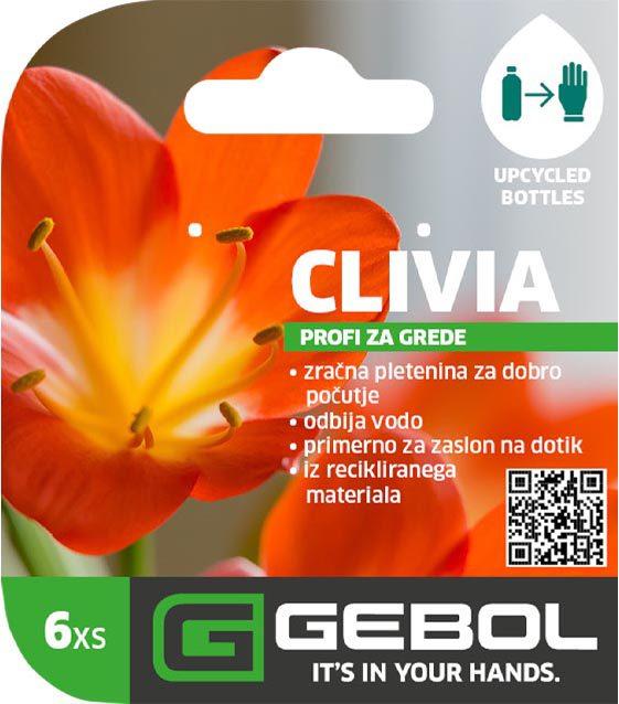 Mockup Headerkarten_0009_Clivia_SLO