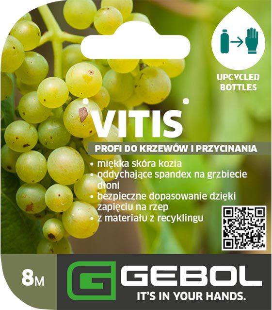 Mockup Headerkarten_0009_Vitis_PL