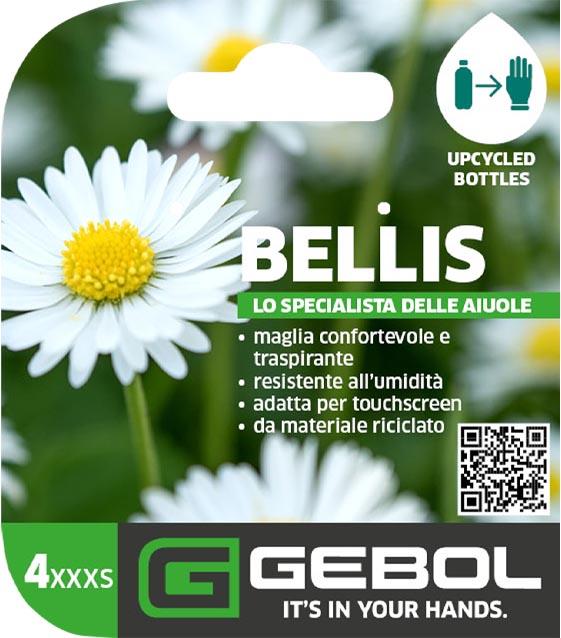 Mockup Headerkarten_0010_Bellis_04_IT