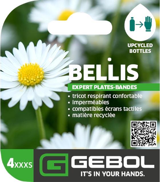 Mockup Headerkarten_0011_Bellis_04_FR