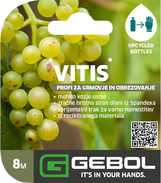 Mockup Headerkarten_0011_Vitis_SLO