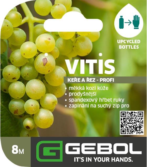 Mockup Headerkarten_0012_Vitis_CZ