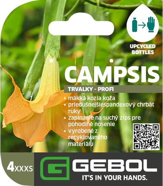 Mockup Headerkarten_0016_Campsis_SK