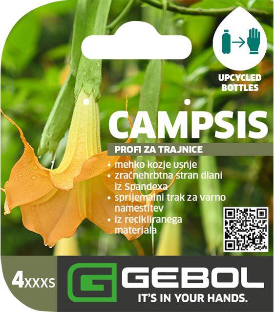 Mockup Headerkarten_0017_Campsis_SLO