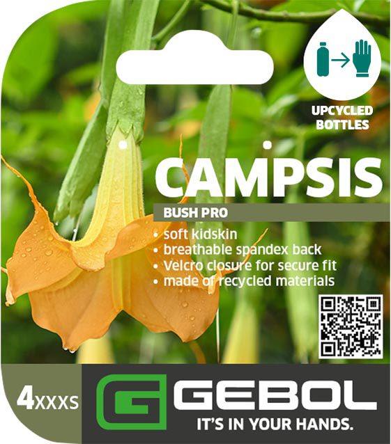 Mockup Headerkarten_0019_Campsis_EN