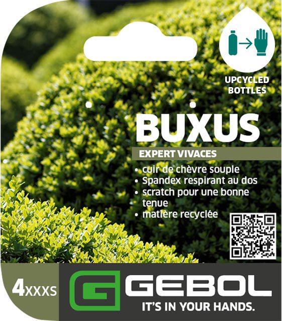 Mockup Headerkarten_0021_Buxus_FR