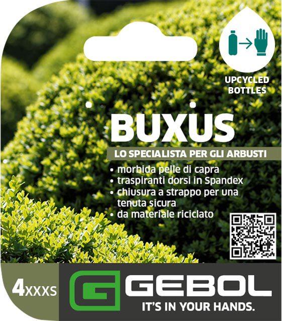 Mockup Headerkarten_0022_Buxus_IT