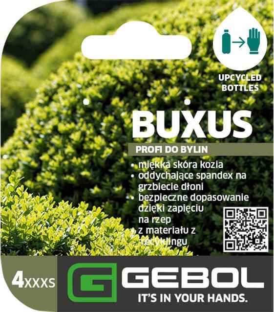 Mockup Headerkarten_0023_Buxus_PL