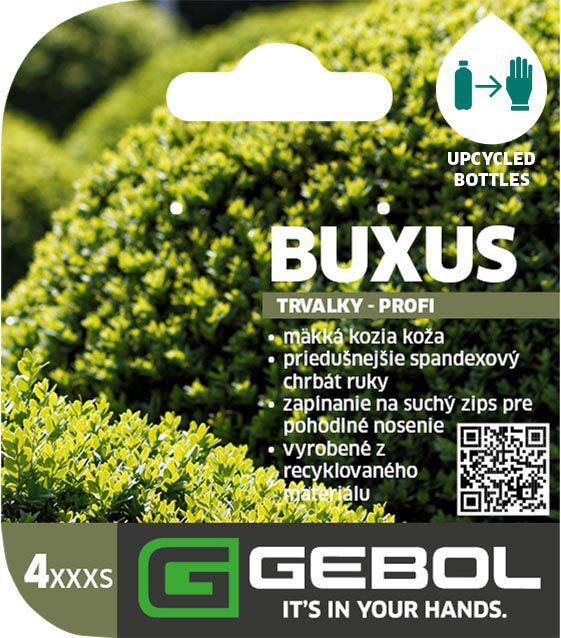 Mockup Headerkarten_0024_Buxus_SK