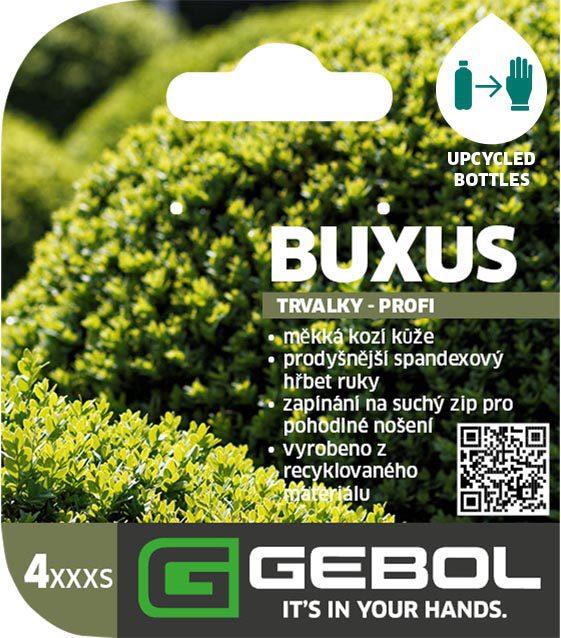 Mockup Headerkarten_0026_Buxus_CZ