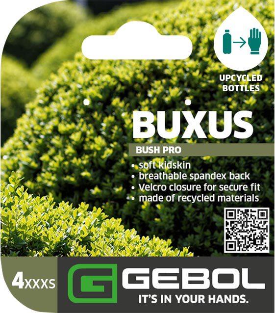 Mockup Headerkarten_0027_Buxus_EN
