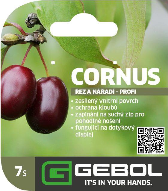 Mockup Headerkarten_0079_Cornus_07_CZ