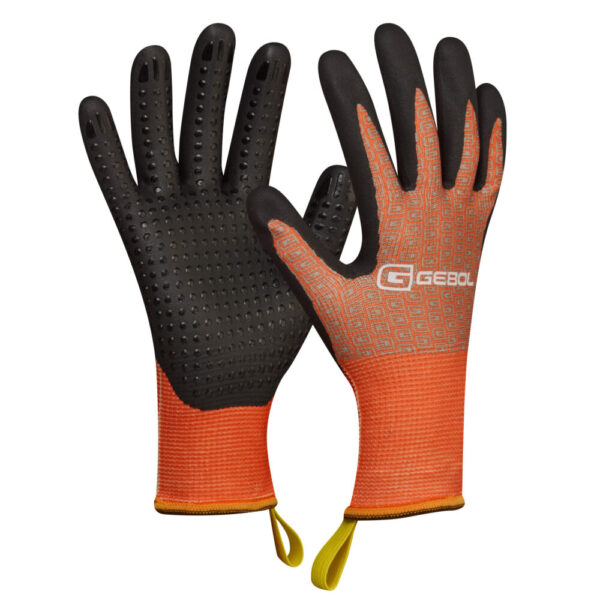 <font color="#74b242">Bellis