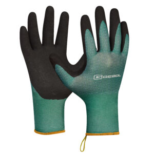 <font color="#74b242">Salvia