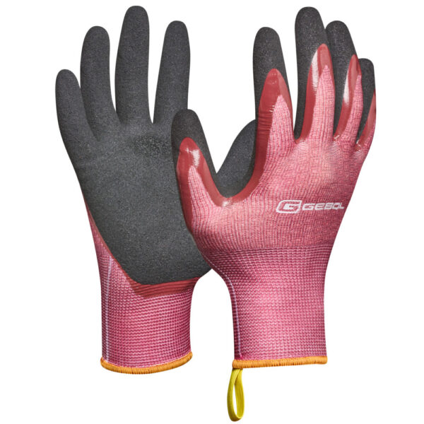 <font color="#74b242">Dahlia