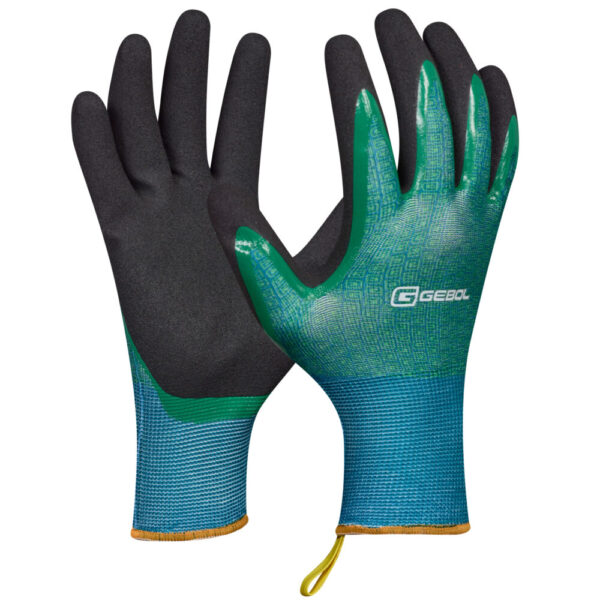 780006_08-11.Laurus <font color="#74b242">Laurus