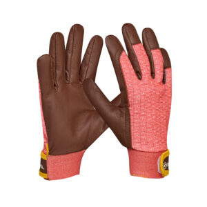 <font color="#74b242">Campsis