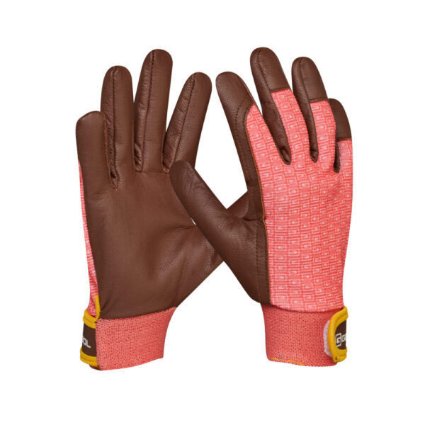 <font color="#74b242">Campsis