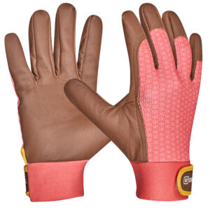 <font color="#74b242">Lonicera