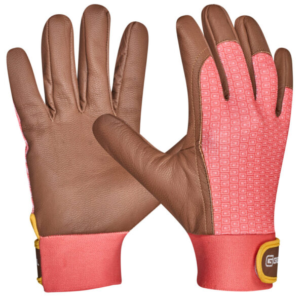 <font color="#74b242">Lonicera